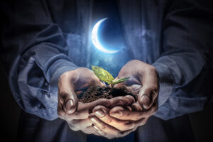 Birth of new life in hands during new moon
